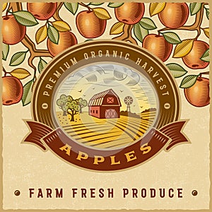 Vintage colorful apple harvest label