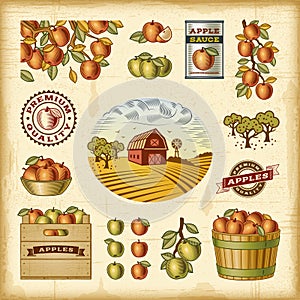 Vintage colorful apple harvest set