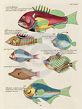 Vintage Colorful Fishes illustration