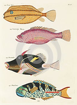 Vintage Colorful Fishes illustration