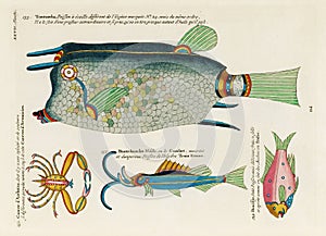 Vintage Colorful Fishes vand Crabs illustration