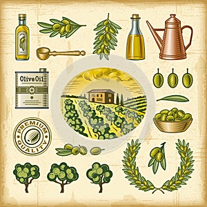 Vintage colorful olive harvest set