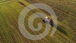 Vintage combine harvester cuts wheat in a field for the food industry and agribusiness agriculture