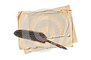 Vintage composition with mock up of old paper sheets and quill pen