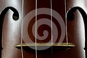 Vintage Concert Violin Bridge and Strings Closeup View