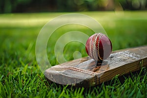 Vintage Cricket Bat and Ball on Green Grass