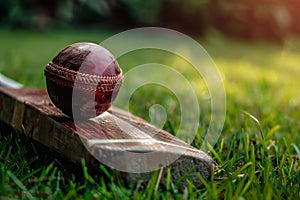 Vintage Cricket Equipment on Lush Green Field