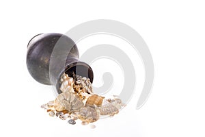 Vintage crock and shells