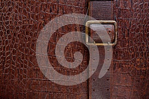 Vintage crocodile leather textured background with buckle. Retro style photo