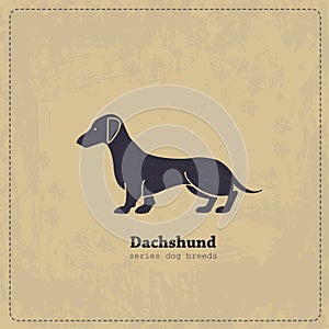 Vintage Dachshund poster photo