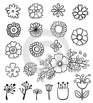 Vintage decorative flowers set. Hand drawn design elements