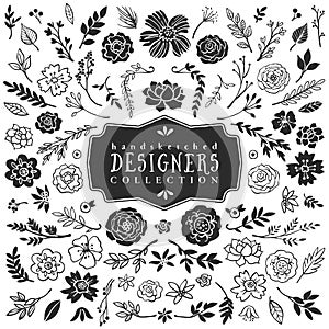 Vintage decorative plants and flowers collection. Hand drawn