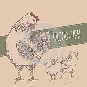 Vintage design with chickens. Happy Mothers day.