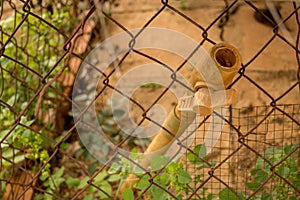 Vintage Dirty PVC Valve/ Plastic Pipe - Rusty Old Wire Fence - Green Plants