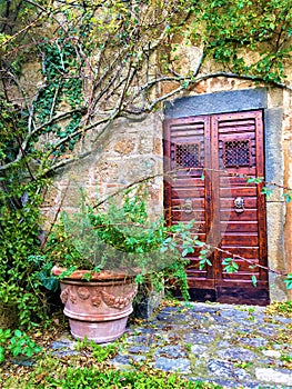 Vintage door and corner, plants, branches and fairytale in Civita di Bagnoregio, town in the province of Viterbo, Italy