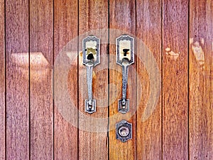 Vintage Door Handles on Wooden Door