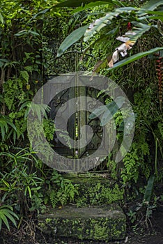 Vintage door in the jungle in Bali.