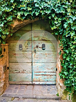 Vintage door, lions and ivy in Civita di Bagnoregio, town in the province of Viterbo, Italy