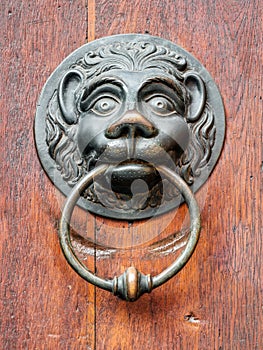 Vintage doorknob with lions face
