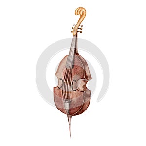 Vintage Double Bass musical instrument. Classical string viola da gamba. Hand drawn watercolor illustration isolated on white photo