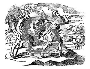 Vintage Drawing of Biblical Story of Scouts of Israelites Returning with Fruits. Two Men Carry Large Grape Bunch