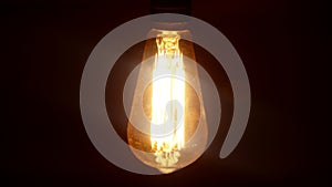 Vintage Edison light bulb reproduction