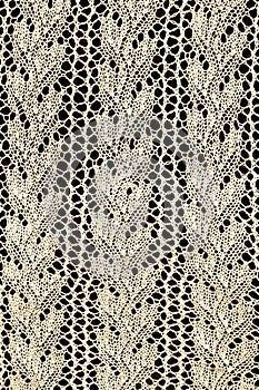 Vintage Edwardian and Victorian Vintage Lace Close Up