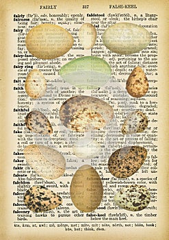 Vintage eggs on old dictionary page