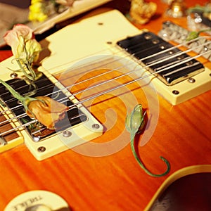 Vintage electric blues guitar and dried flowers close up.