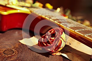 Vintage electric jazz guitar and dried flowers close up.