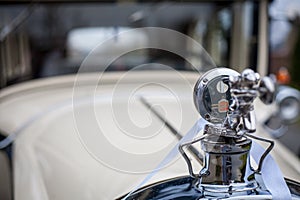 Vintage Elegance: Classic Car Mascot and Hood