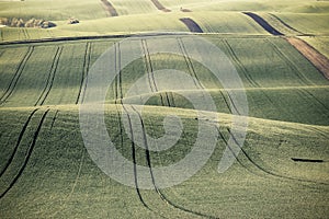 Vintage Emerald Green Agricultural Field