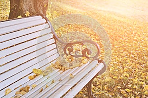 Vintage empty bench in autumn park