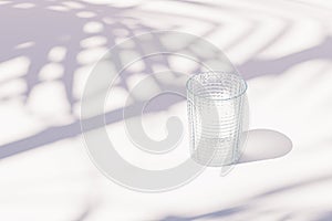 Vintage empty glass on white background with tropical leaf shadows, 3d render