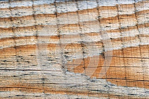 Vintage eroded wood natural pattern. Pine planed boards texture as background