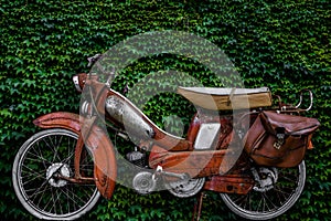 Vintage European Moped