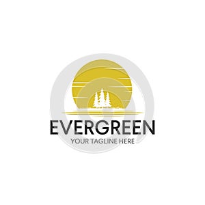 Vintage Evergreen / Pine tree Logo design inspiration