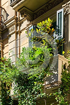 Vintage Facade Building Architecture With Lots Of Overgrown Green Vegetation In City Of Barcelona