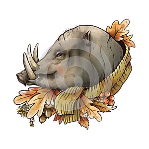 Vintage fall illustration. Cute wild boar with autumn leaves and acorns brunch