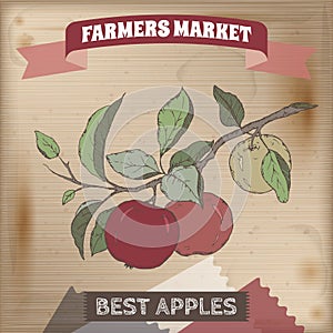 Vintage farmers market label with apple branch color sketch.