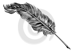 Vintage feather quill pen illustration