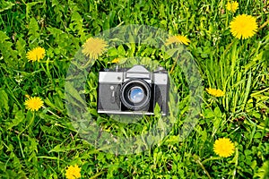 Vintage film camera surrounded by yellow flowers on a green lawn. Blooming dandelions