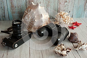 Vintage film photo camera, binoculars, sea shells, stars and coral twigs on a light blue wooden background.