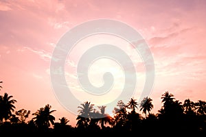 Vintage filter : silhouette landscape of coconut tree ,tropical