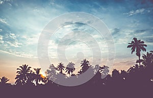 Vintage filter : silhouette landscape of coconut tree ,tropical