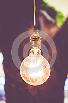 Vintage filter : Vintage lightbulb hanging on tree