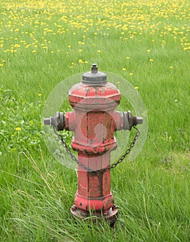Vintage fire hydrant