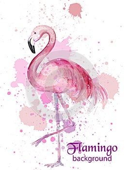 Vintage Flamingo watercolor card Vector. Hand made design decors