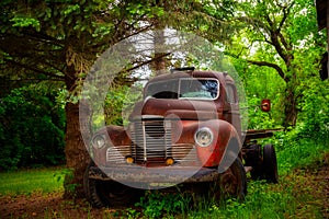 Vintage flatbed truck under green trees