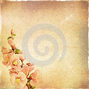 Vintage floral background